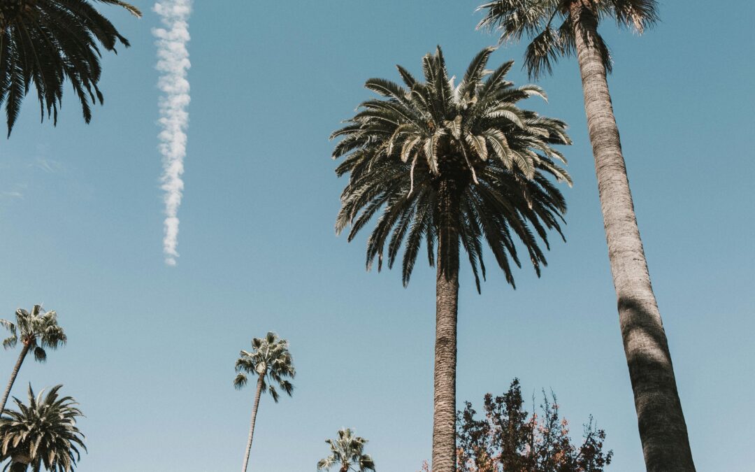 Depression Therapy: Finding Hope and Healing in LA